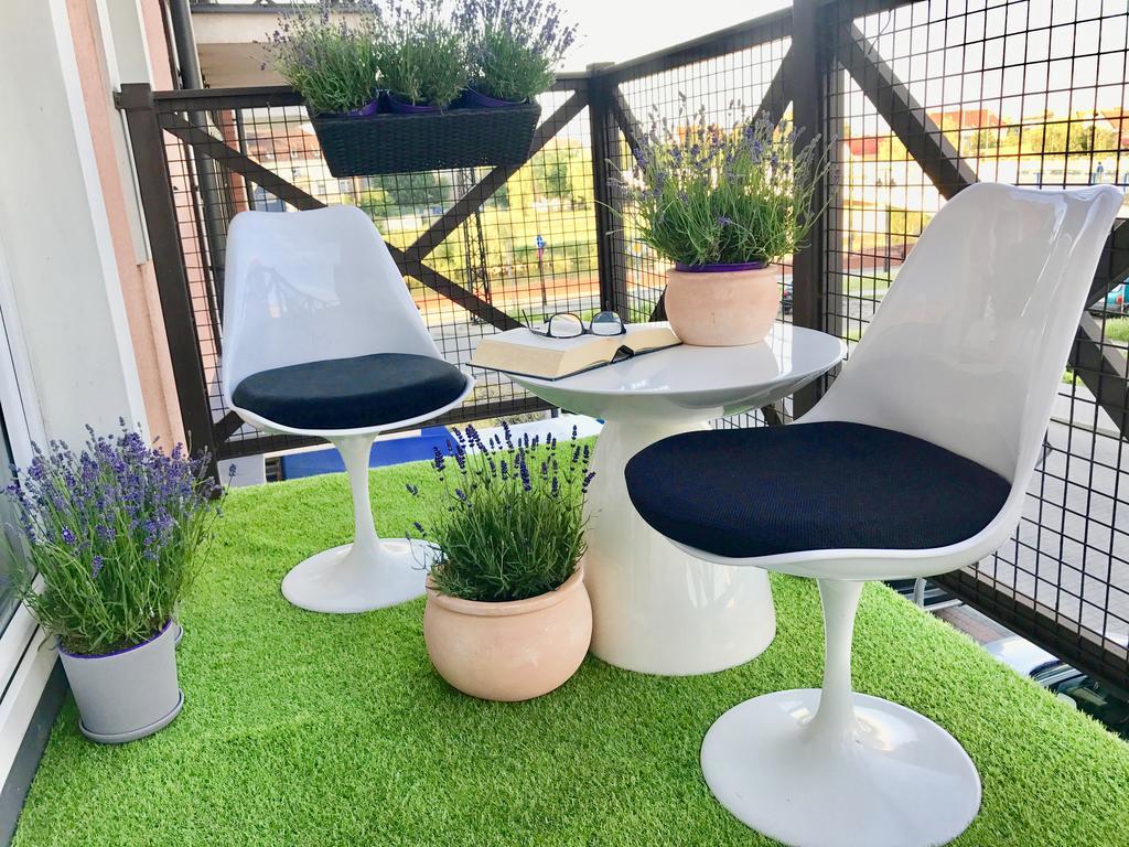 Apartament Lavender Śrem Dış mekan fotoğraf